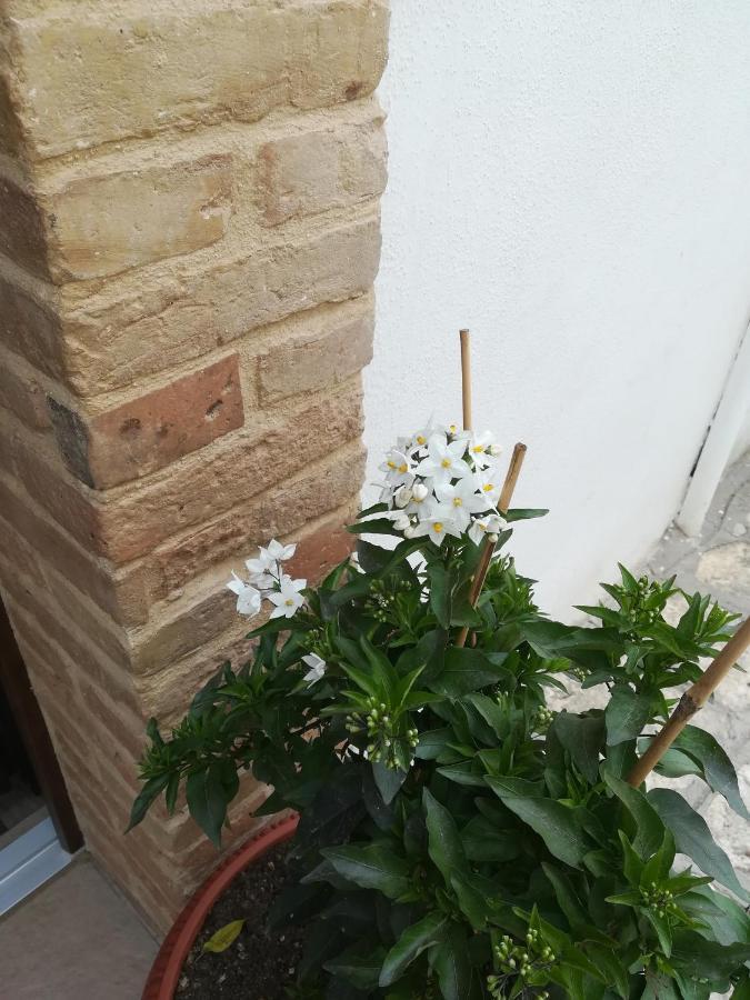 Hébergement de vacances Dimora Chiesa Diruta Grottole